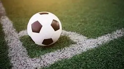 BBIN真人游戏平台 资讯 131753 lrf