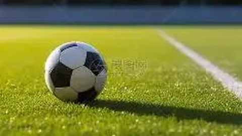 BBIN真人游戏平台 资讯 134005 ry5