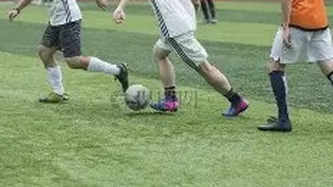 BBIN真人游戏平台 资讯 104304 15u